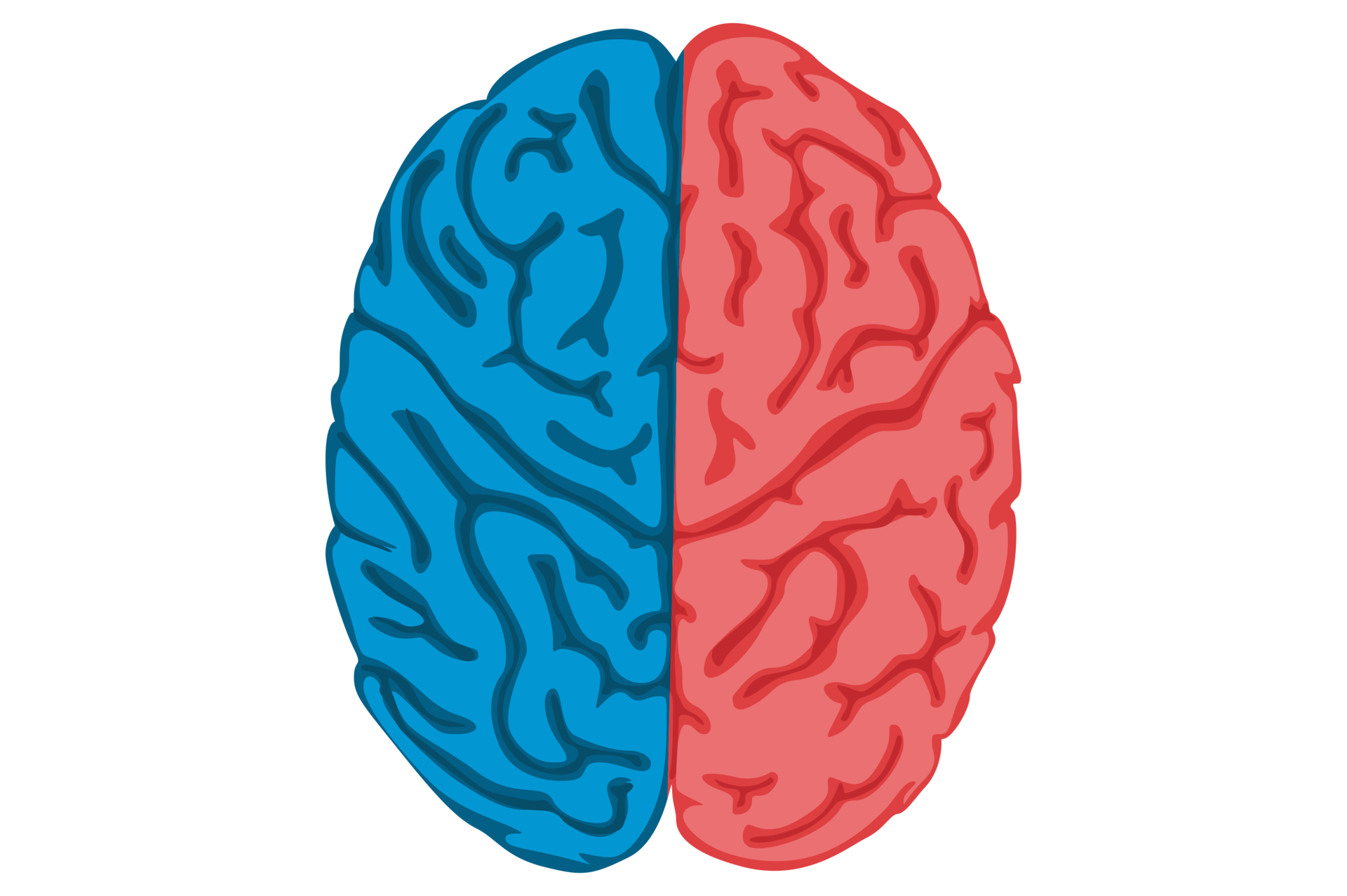 Brains Academy