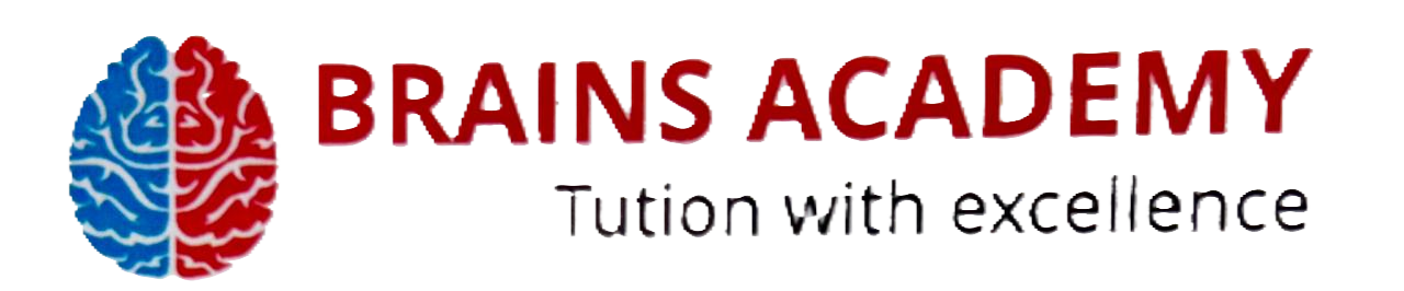 Brains Academy